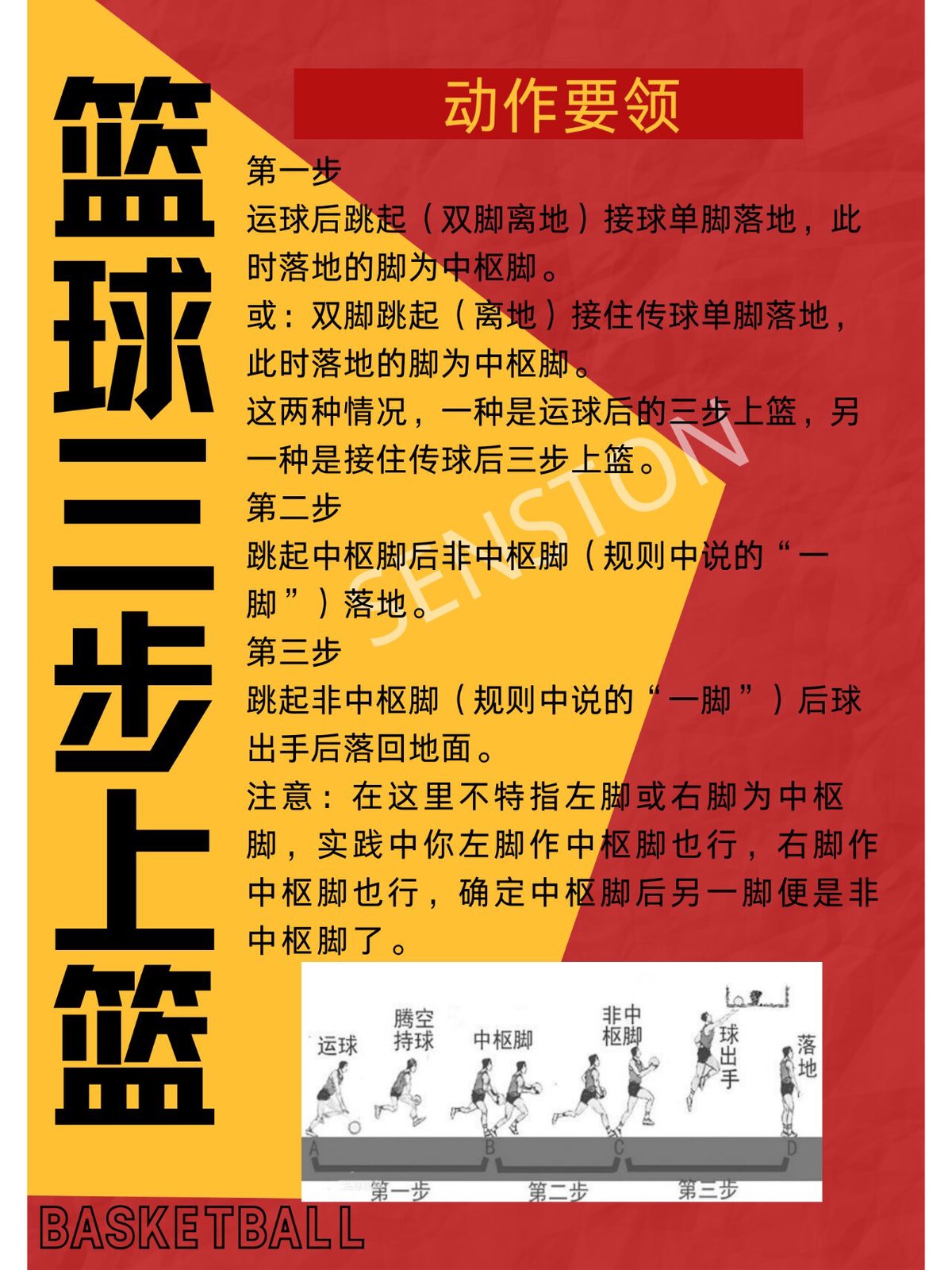 篮球体能训练内容图解视频